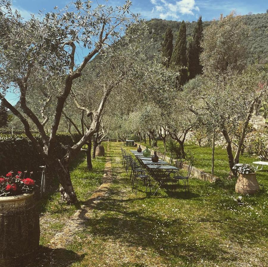 Sotto Il Cielo Di Toscana Appartamenti In Tenuta Only Adults No Pet Camaiore Exterior foto