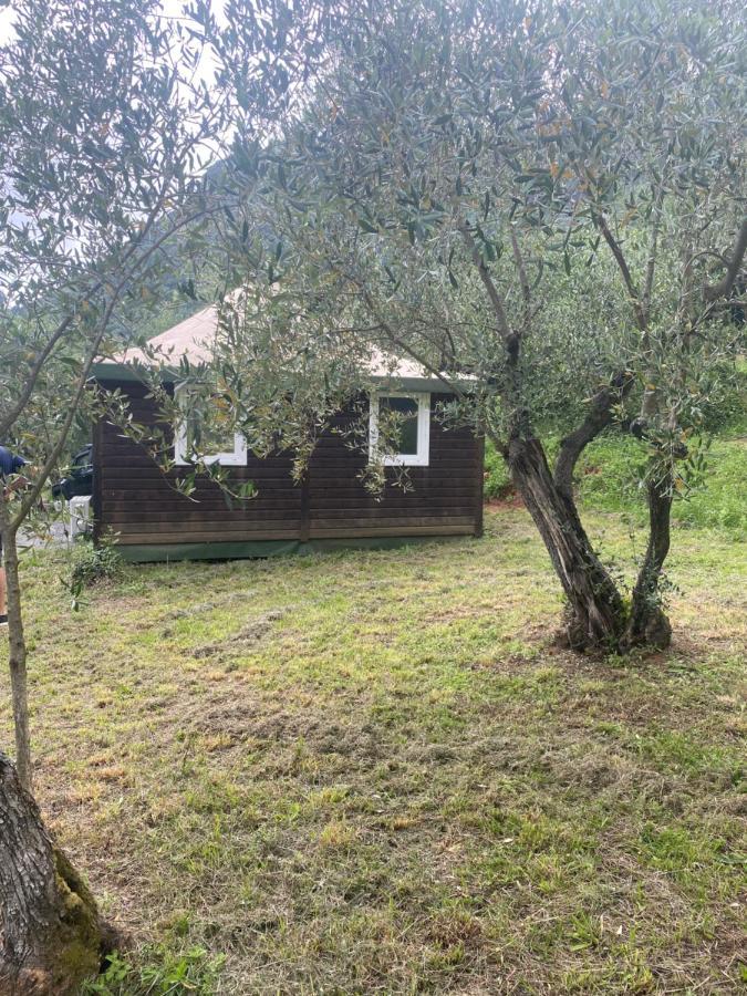 Sotto Il Cielo Di Toscana Appartamenti In Tenuta Only Adults No Pet Camaiore Exterior foto