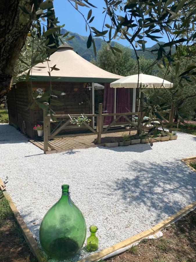 Sotto Il Cielo Di Toscana Appartamenti In Tenuta Only Adults No Pet Camaiore Exterior foto