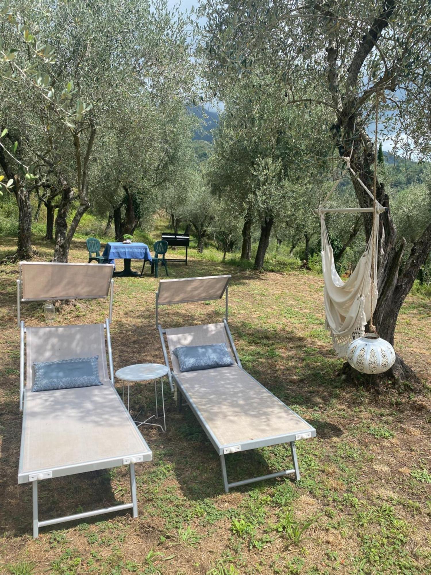 Sotto Il Cielo Di Toscana Appartamenti In Tenuta Only Adults No Pet Camaiore Exterior foto